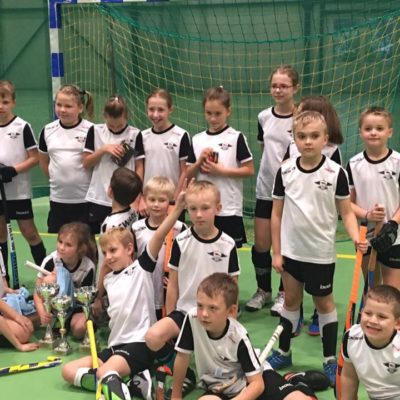 23380392_1028633297276530_1309431884443341814_n