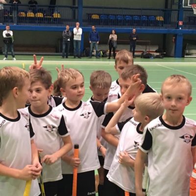 23434878_1028633293943197_2595375807065584847_n