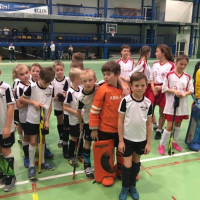 23561742_1028633303943196_785367702784074888_n