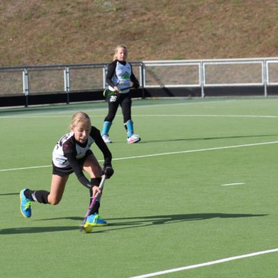 42435656_1257183281088196_8597154195801374720_o